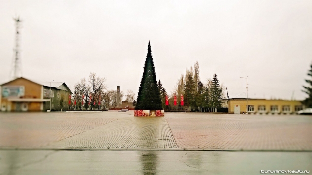 ​На главной площади Бутурлиновки появилась Новогодняя Елка