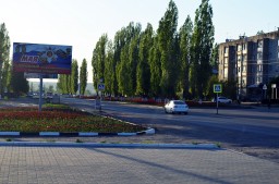 Клумба с тюльпанами на ул. Дорожная
