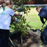 Открытие парка культуры и отдыха в Бутурлиновке
