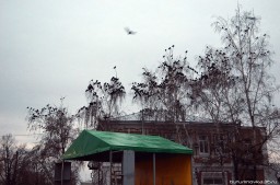 Площадь Воли осенью