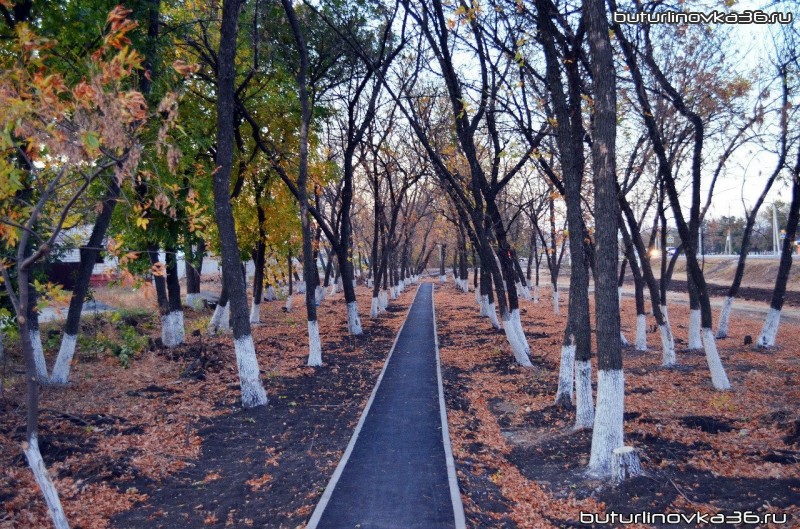 Тротуар в новом микрорайоне