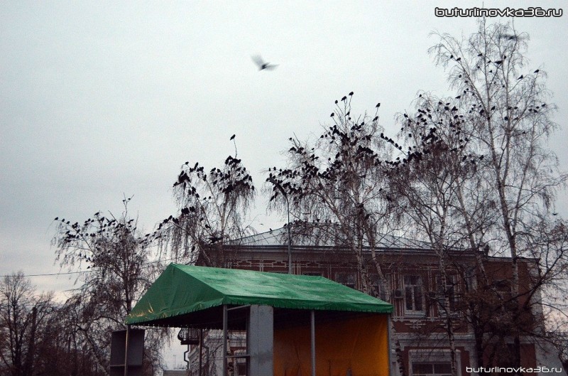 Площадь Воли осенью