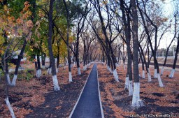 Тротуар в новом микрорайоне